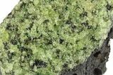 Peridot in Basalt - Arizona #247752-1